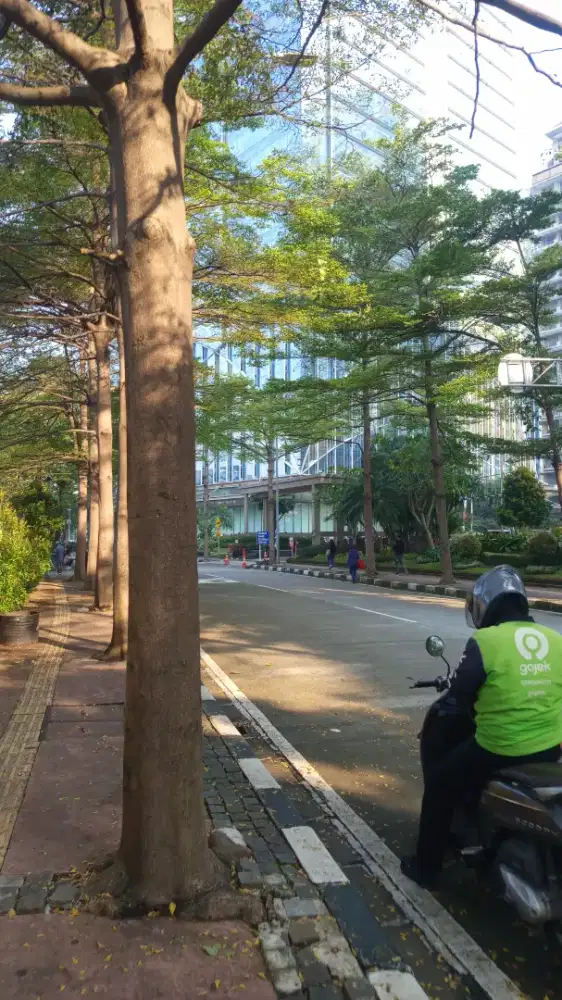 LOWONGAN PEKERJAAN LANSIA AKTIF/ PENSIUN