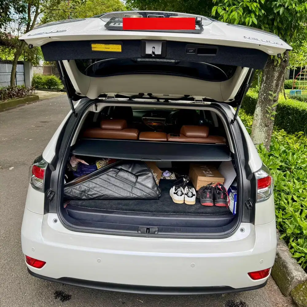 Lexus RX350 2014 Bensin ( Rare )