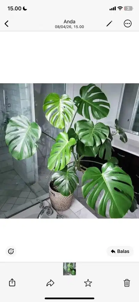 Lowongan Kerja Tukang Obras