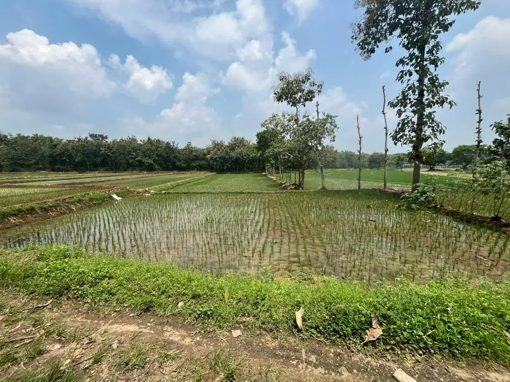 Jual cepat dan murah tanah 1800 m2.