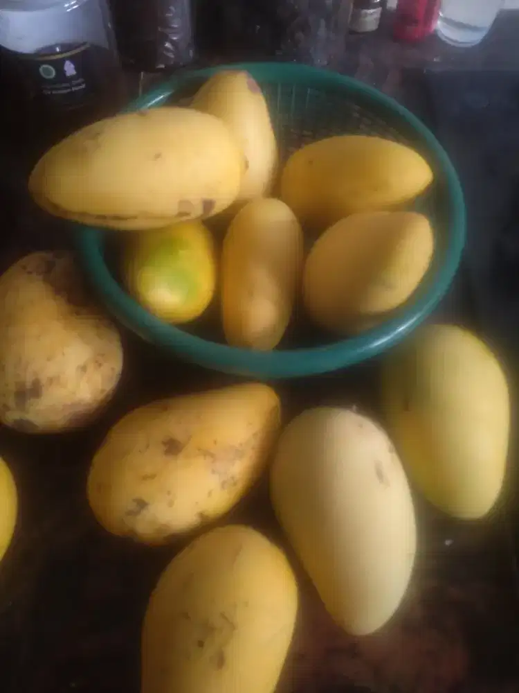 Jual mangga manis