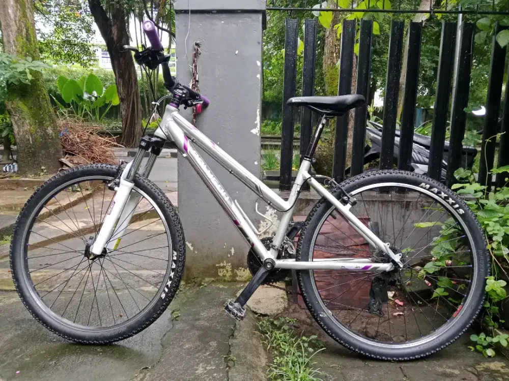 Polygon Premier Lady