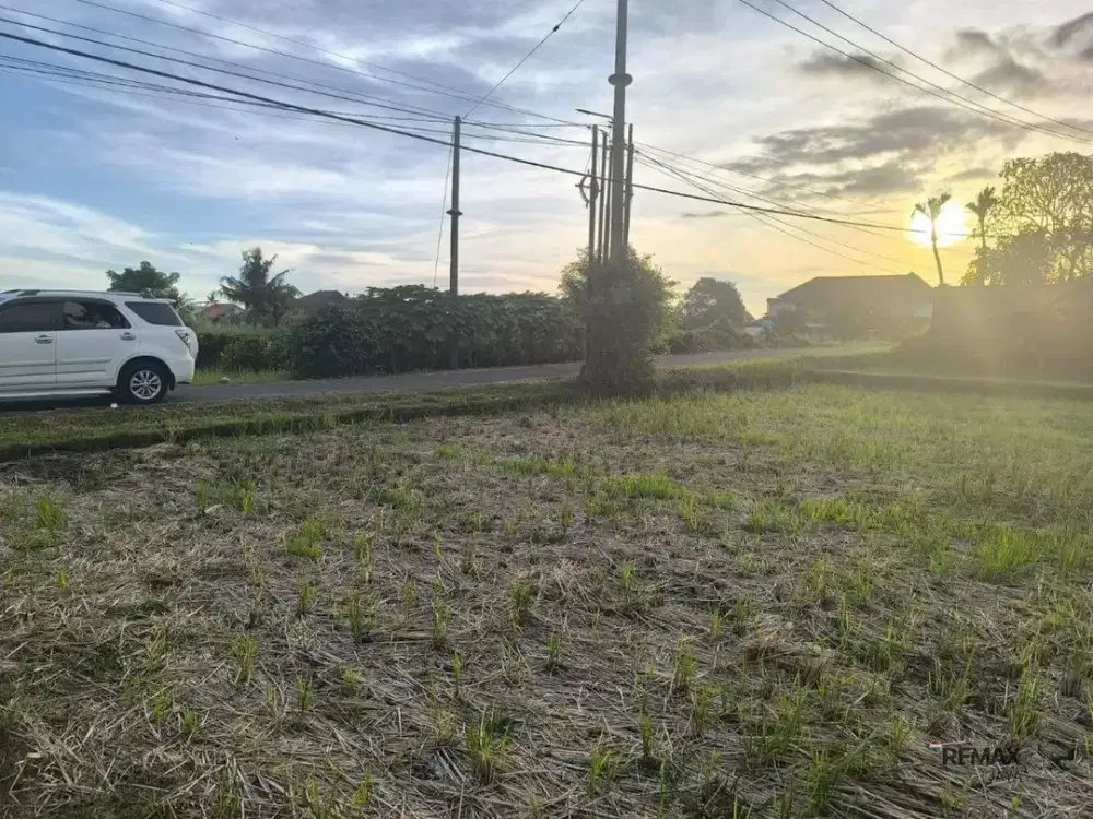 Tanah 16,68 Are Zona Perumahan Dijual, di Kedungu Tabanan Area