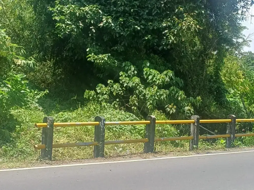 Di Jual Tanah View Sawah - Sempol, Pererenan