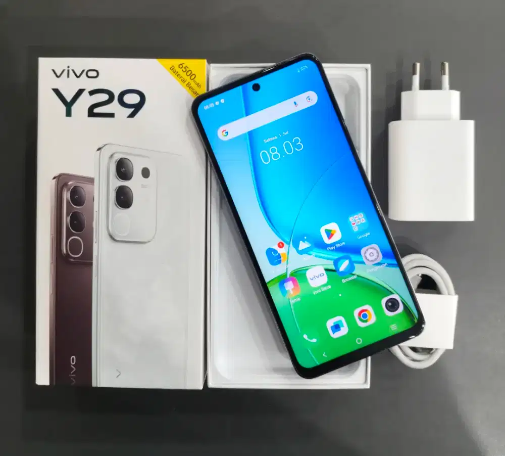 Jual Hp Ex Demo Vivo Y29 6/128