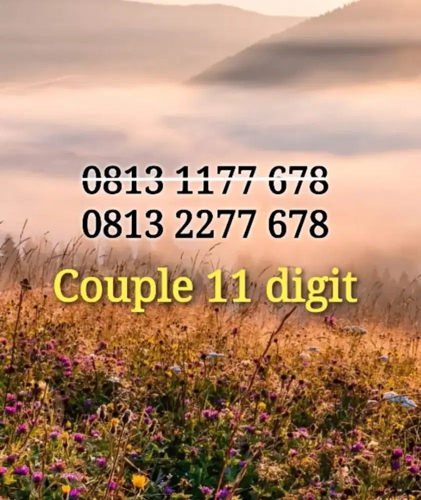 Nomor cantik 11 angka 678