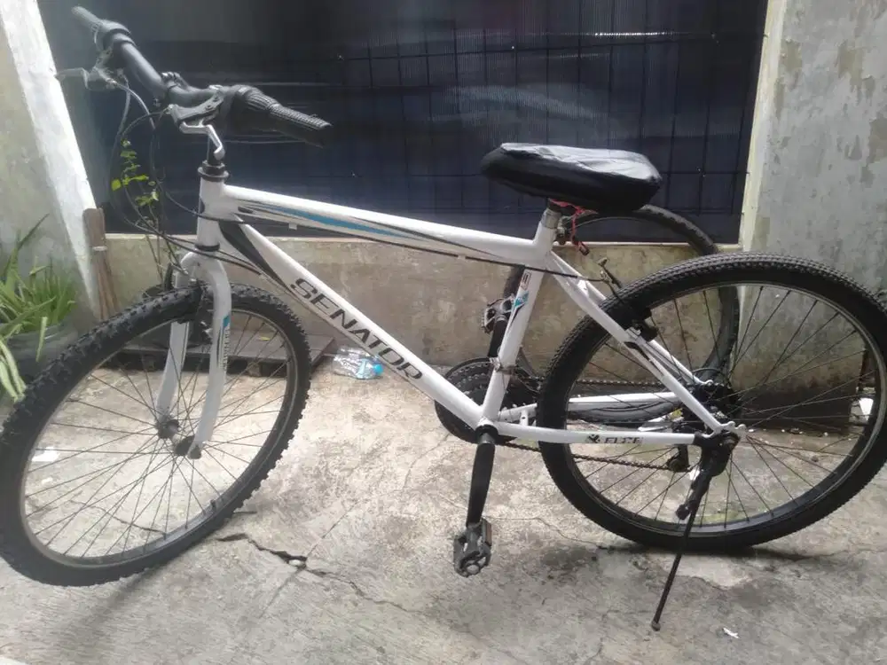 Sepeda gunung senator