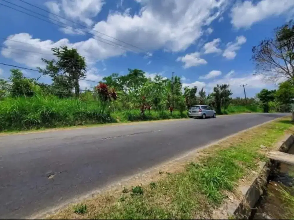 Di Jual Tanah Komersial Murah - Petang, Badung