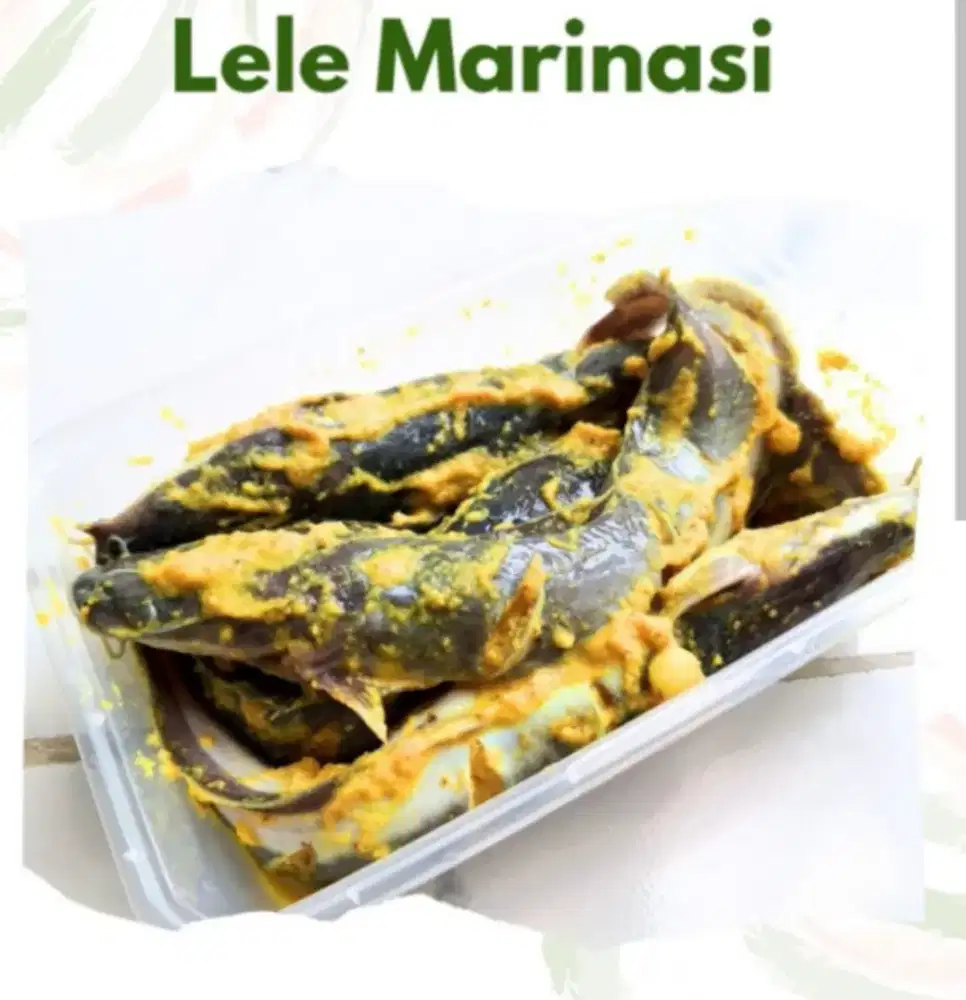 Lele marinasi kapuk