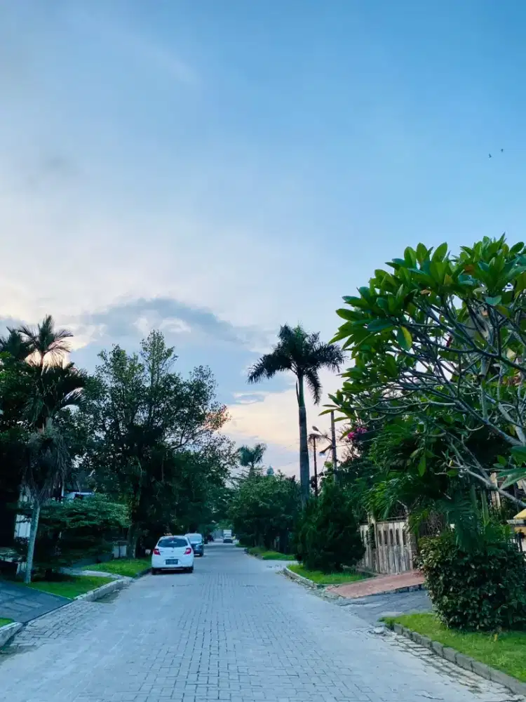 Dicari art secepatnya