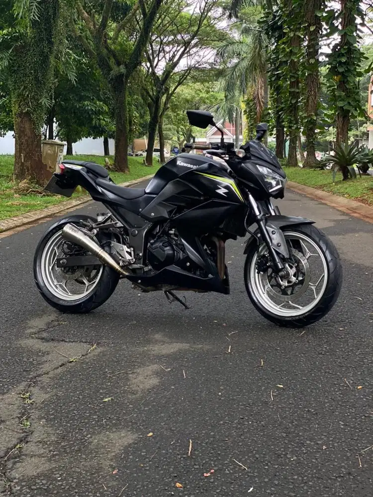 kawasaki z250 2017/2018