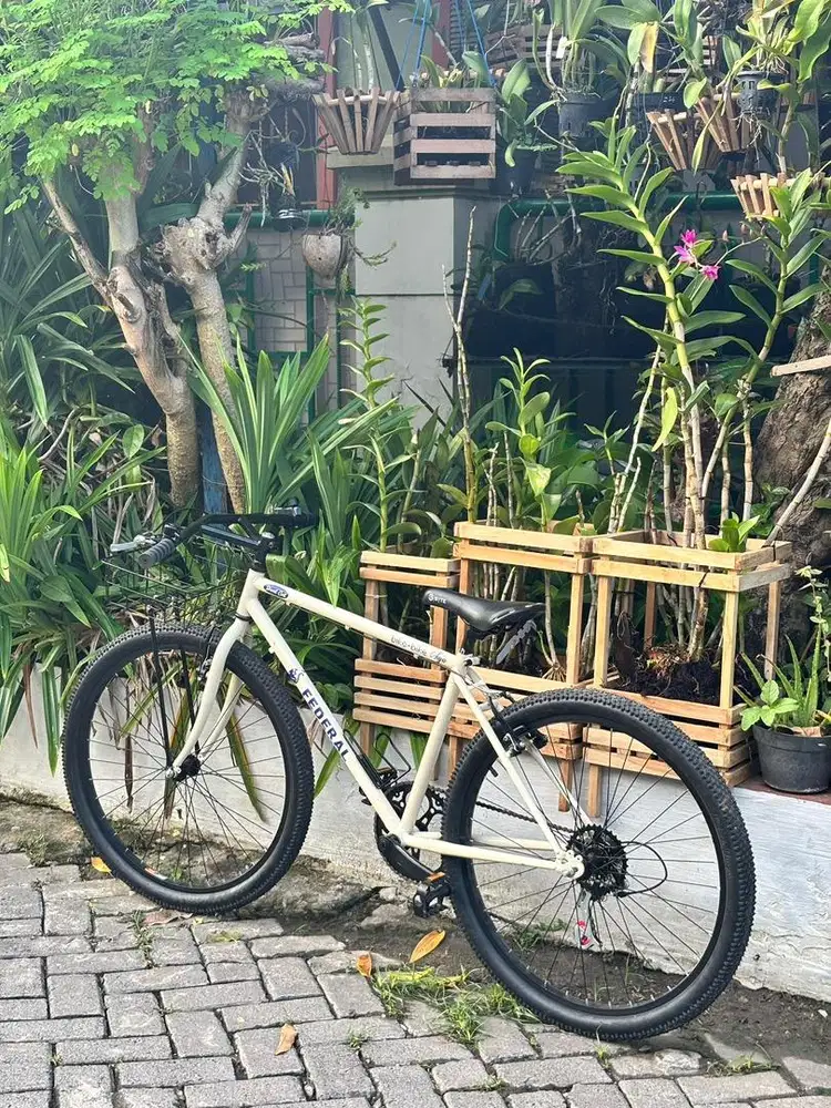 Federal Street Cat Commuter Bike