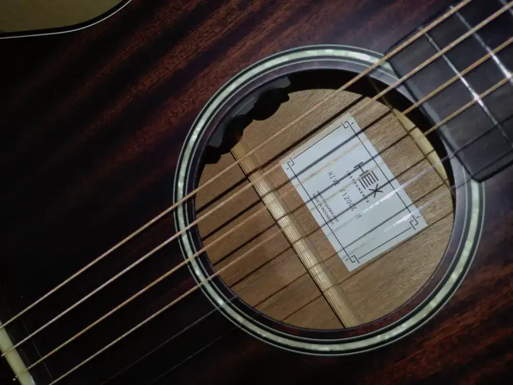 Gitar Akustik Elektrik HEX HIVE F120CE M
