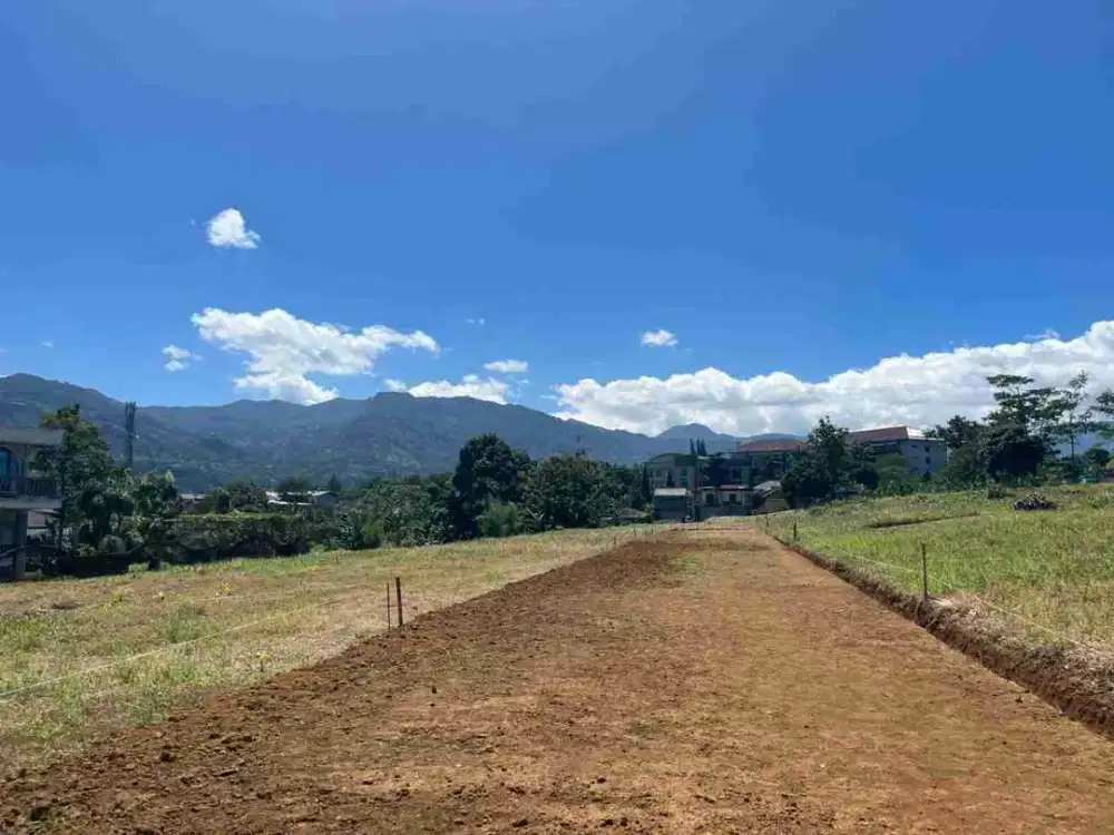 Tanah Puncak Dijual Best View Dekat Jalan Raya Utama Potensial