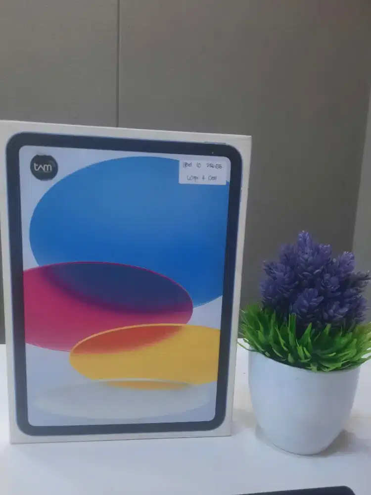 Ipad 10 256GB Celluar New Ibox