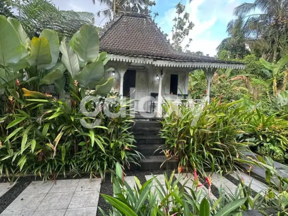 VILLA JOGLO DI PUHU PAYANGAN GIANYAR, BALI