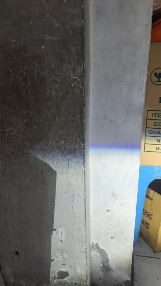 AUTOVISION DAYTONA C2