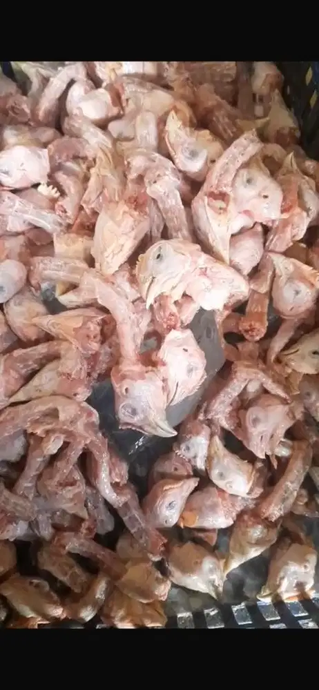 Operator Pengelolaan Ayam