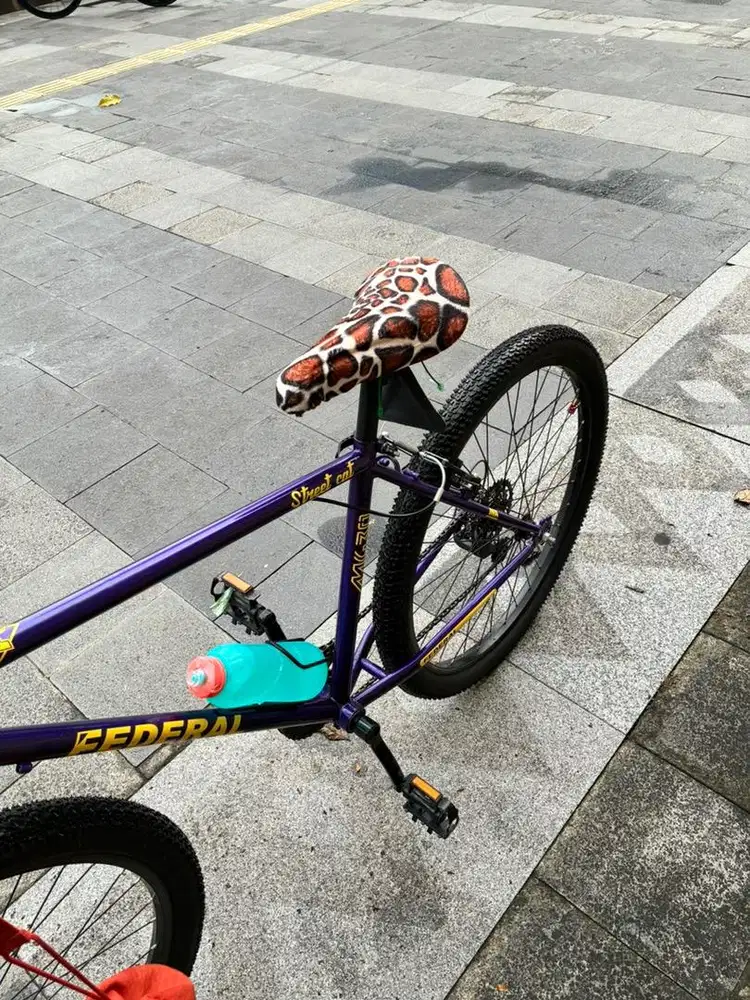 Sepeda Federal Bike