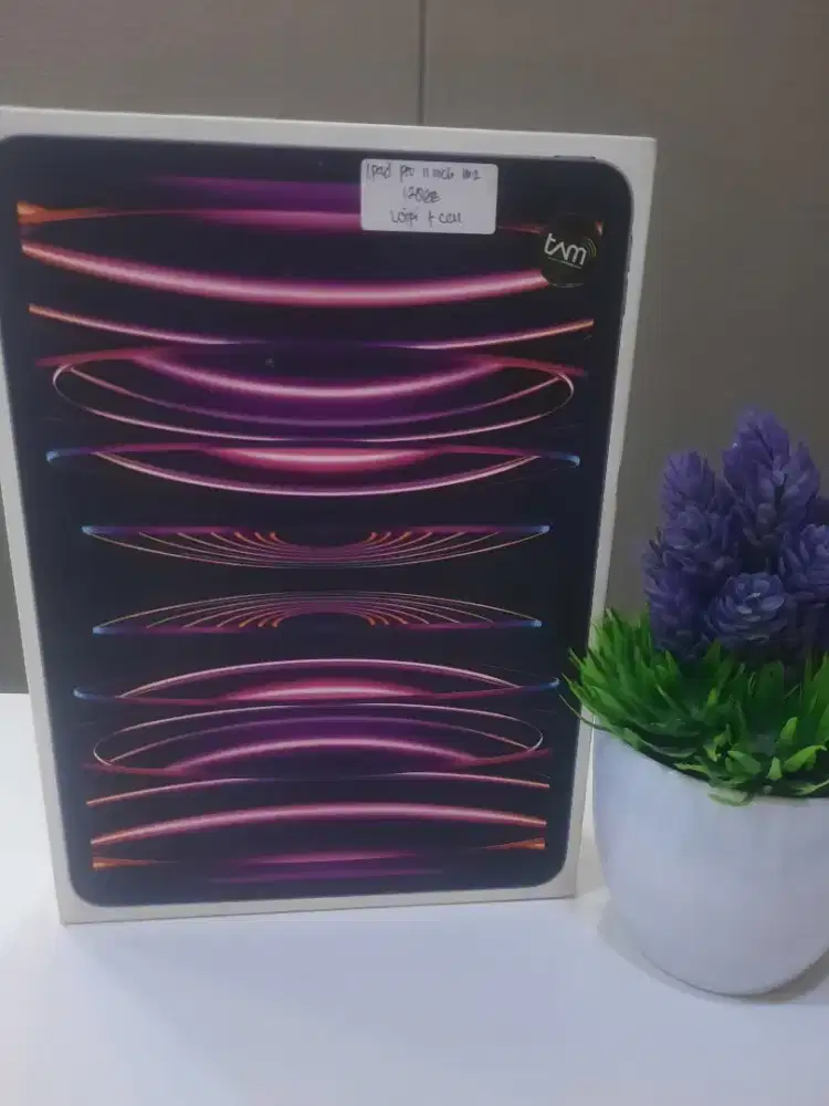 Ipad Pro 11 inch (M2) 128GB Cell new resmi