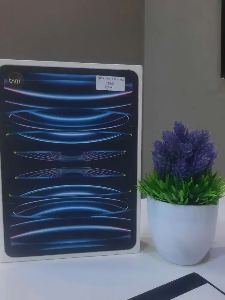 Ipad Pro 11 inch (M2) 128GB wifi new resmi