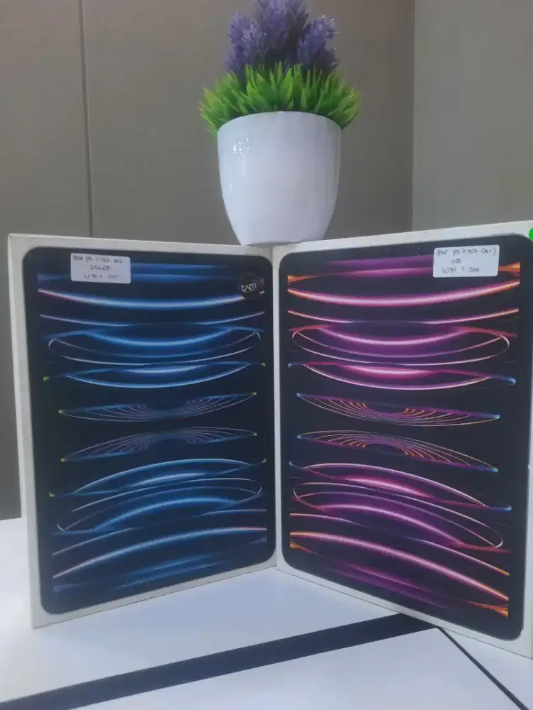 Ipad Pro 11 inch (M2) 256GB cell new resmi