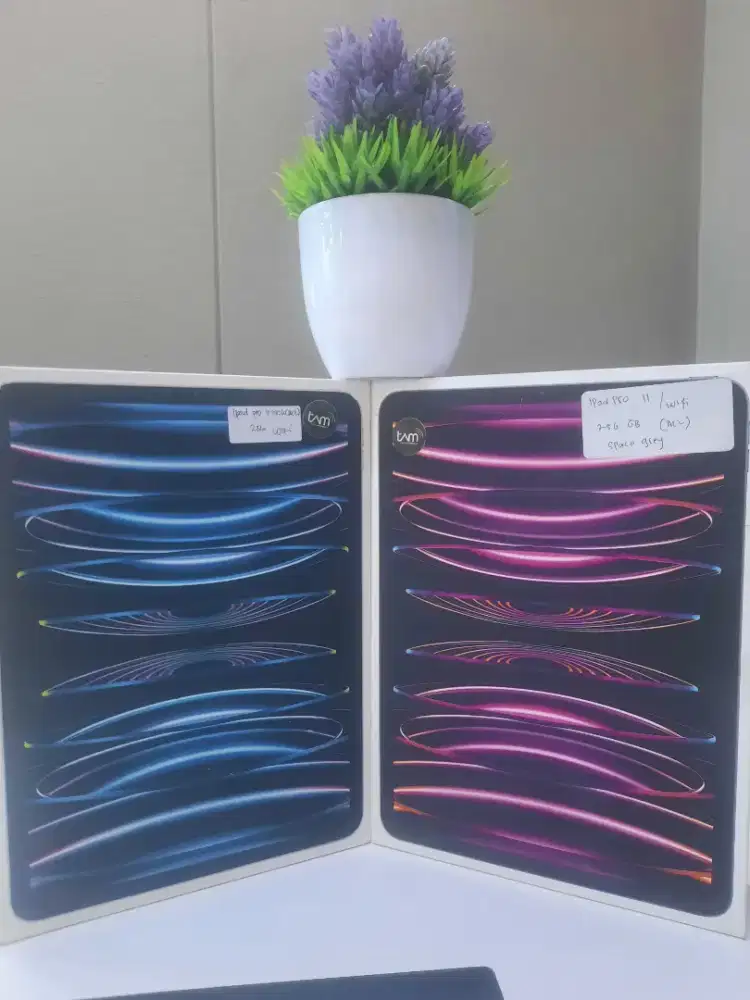 Ipad Pro 11 inch (M2) 256GB wifi new resmi