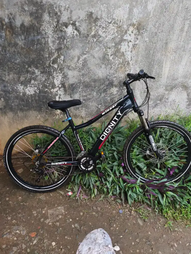 Dijual Sepeda gunung Dignity winner Shimano frame 26