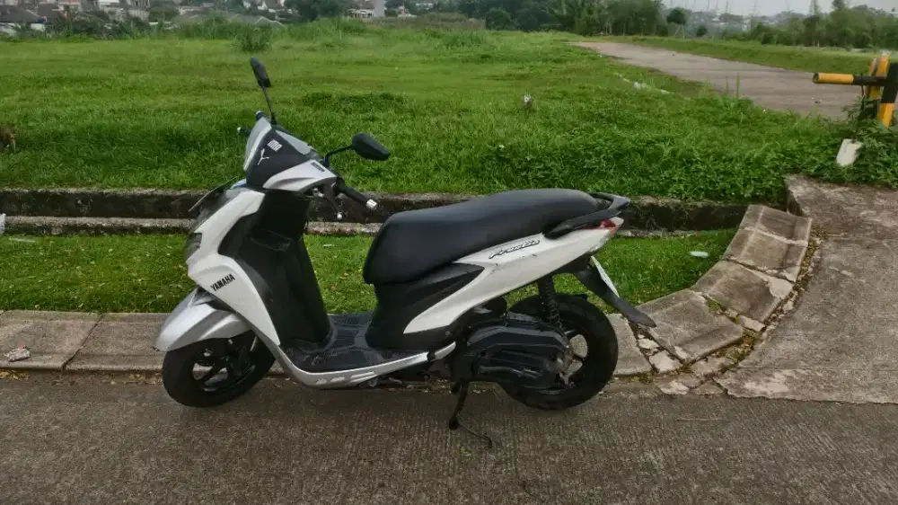 Yamaha Freego 2018