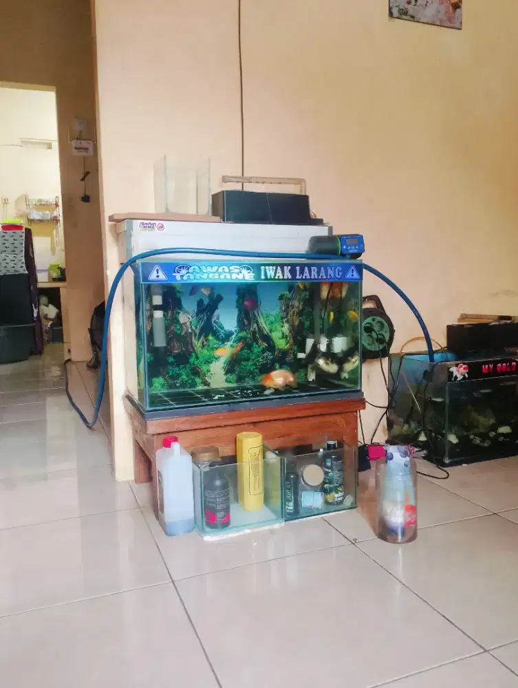 Aquarium 60x30x35 fullset