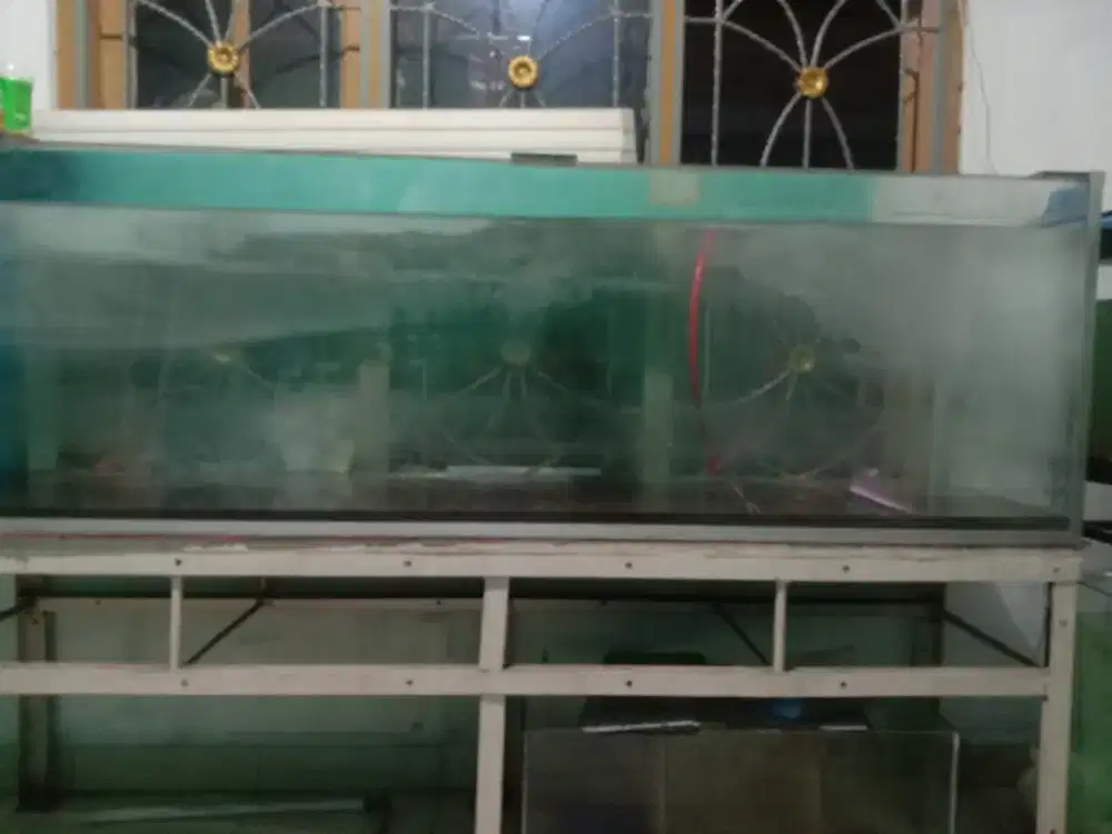 Aquarium ukuran 200x50x60