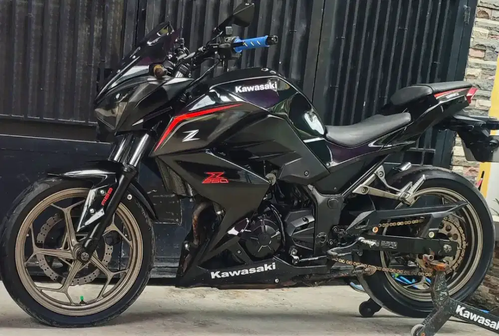 Kawasaki Ninja Z250fi