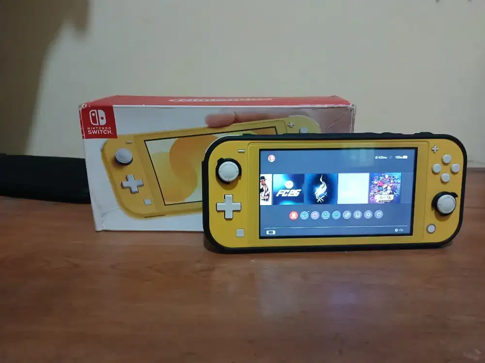 Nintendo switch lite