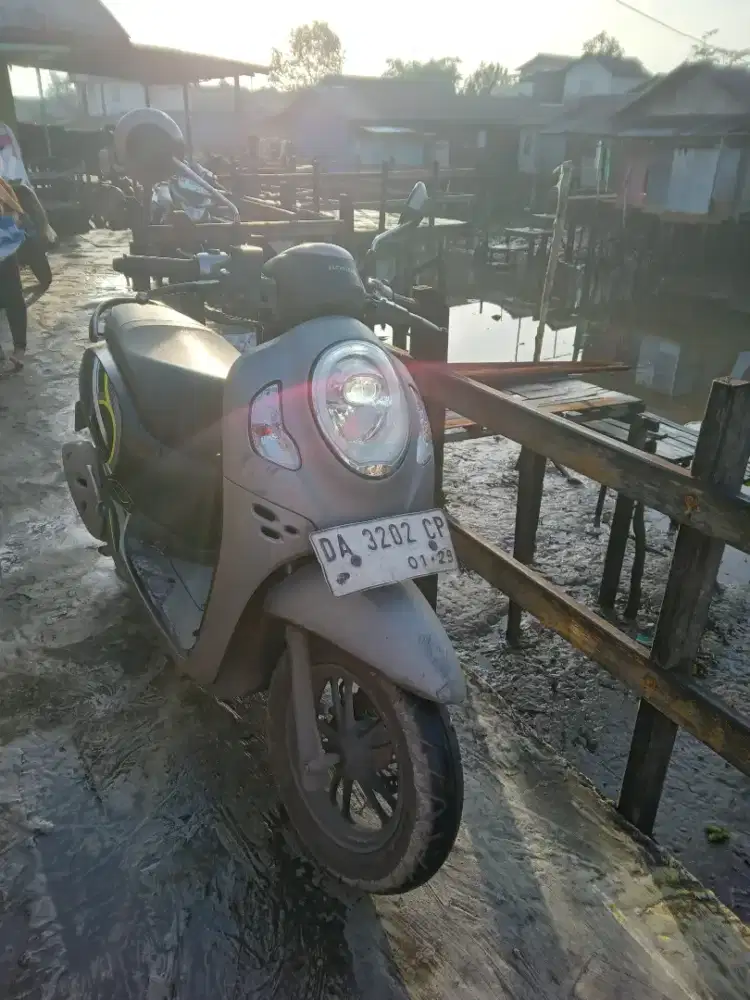 Honda Scoopy 2024 Istimewa