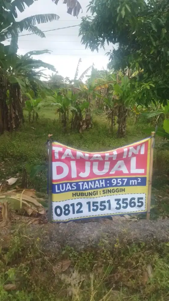Di Jual Tanah kebun, daerah piyungan.