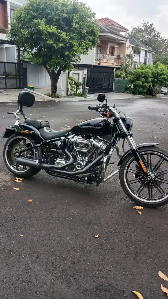 Harley Davidson breakout