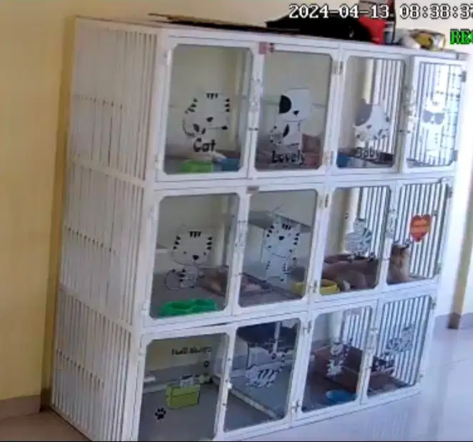 Dijual Cepat Kandang Kucing Besar Besi