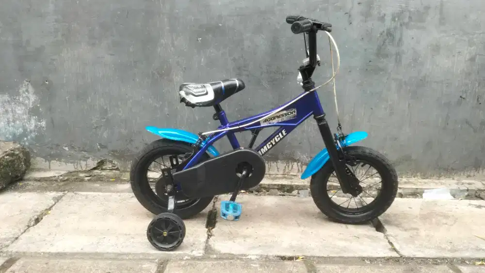 Sepeda anak wimcycel