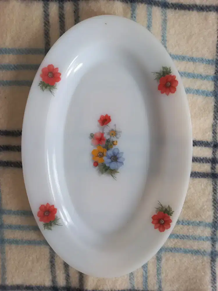 Piring Arcopal France Perlengkapan Makan