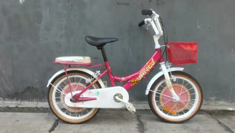 Sepeda anak united