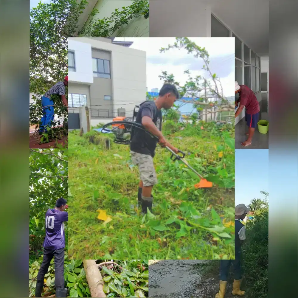 Jasa Tebas Rumput Dan Bersih2
