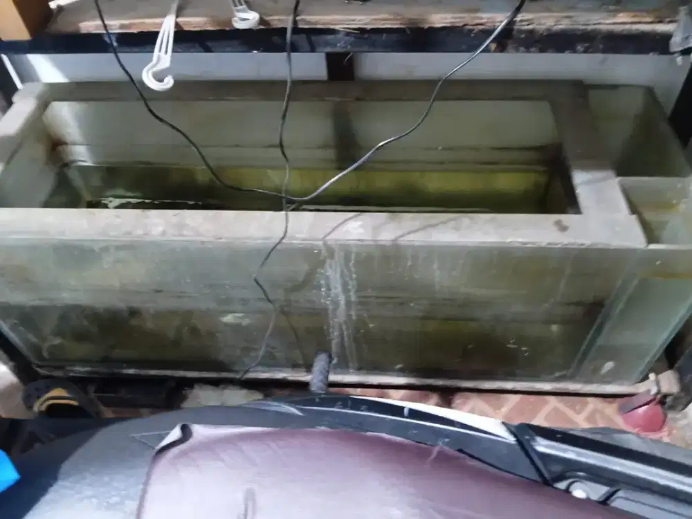 Aquarium ikan 1,5 m