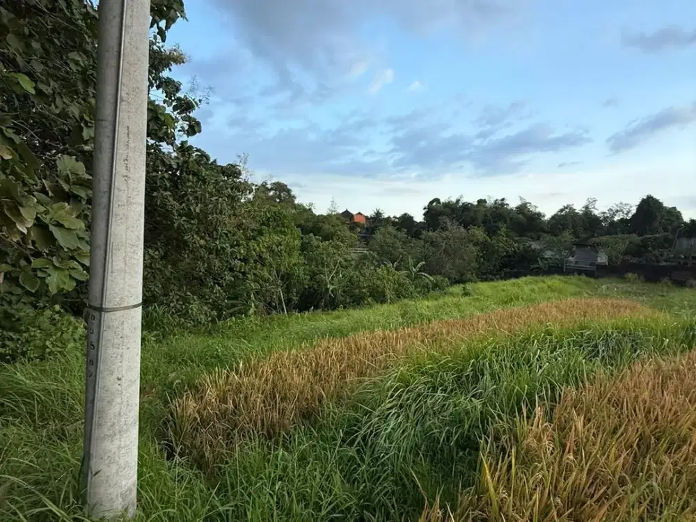 Land for sale in Kediri, Bali