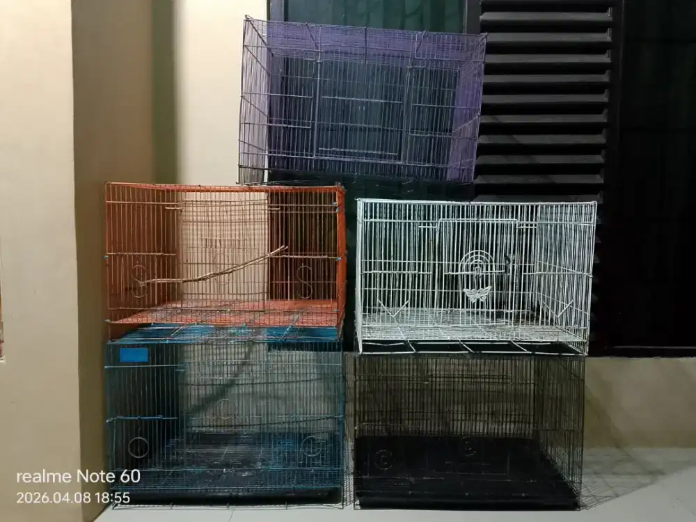 5 kandang & 1 hp