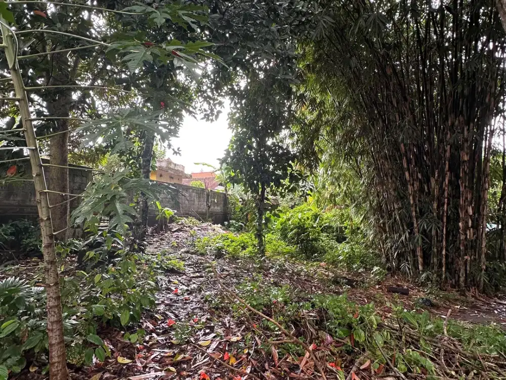 Land for sale in Kediri, Bali