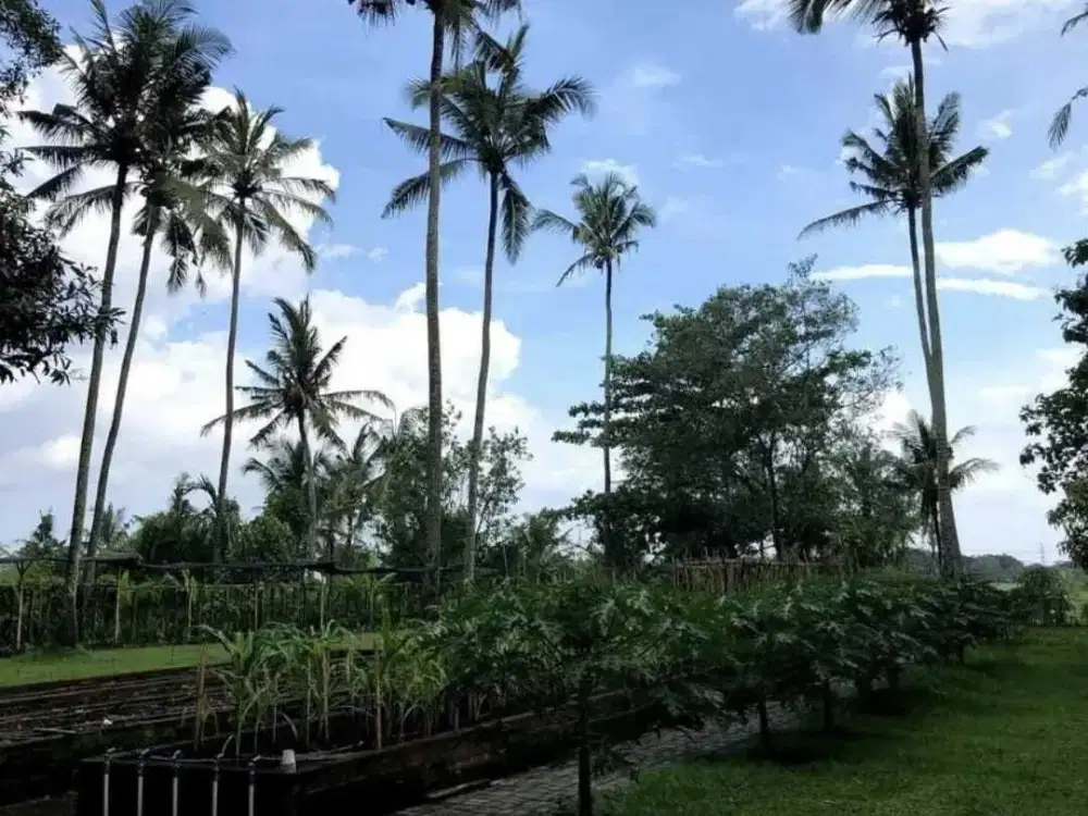 Land for sale in Kaba Kaba, Bali