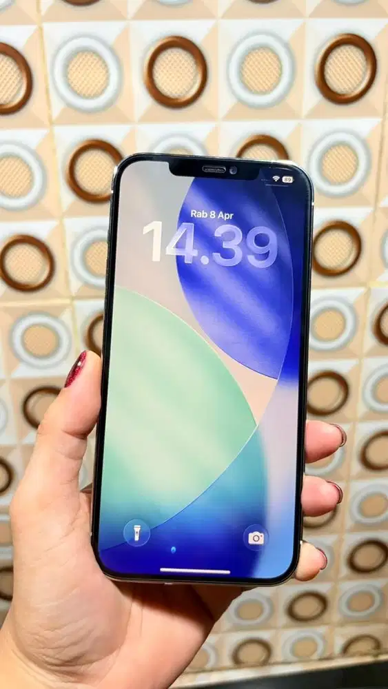 iPhone 12 Promax 256gb All Op