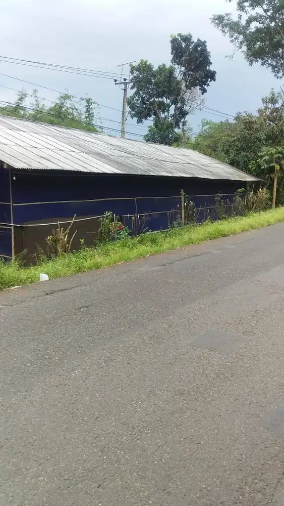 DIJUAL TANAH BESERTA KANDANG AYAM PEDAGING CLOSE HOUSE