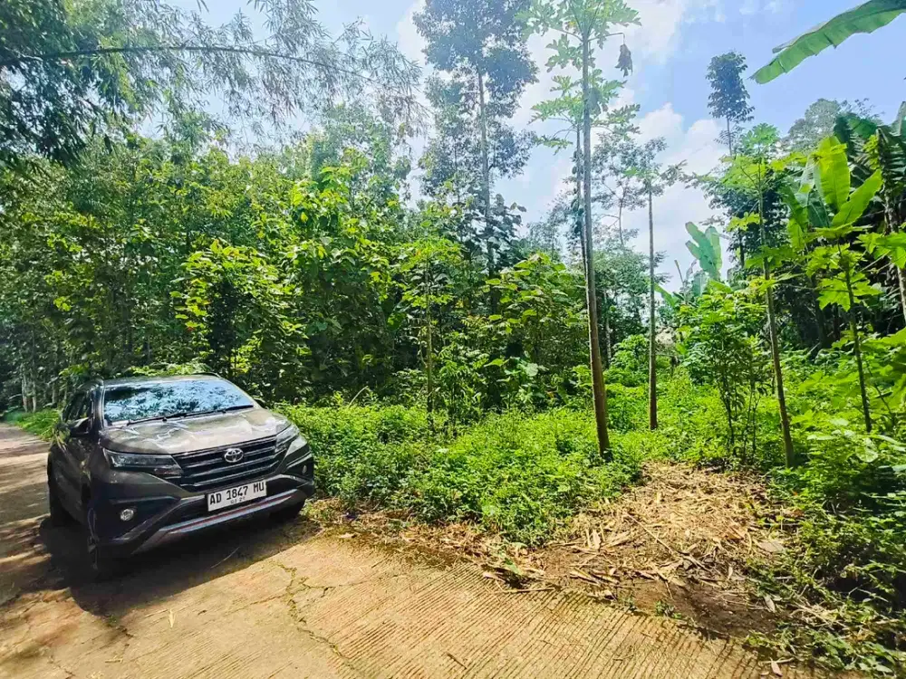 Jual murah tanah pekarangan mojogedang karanganyar