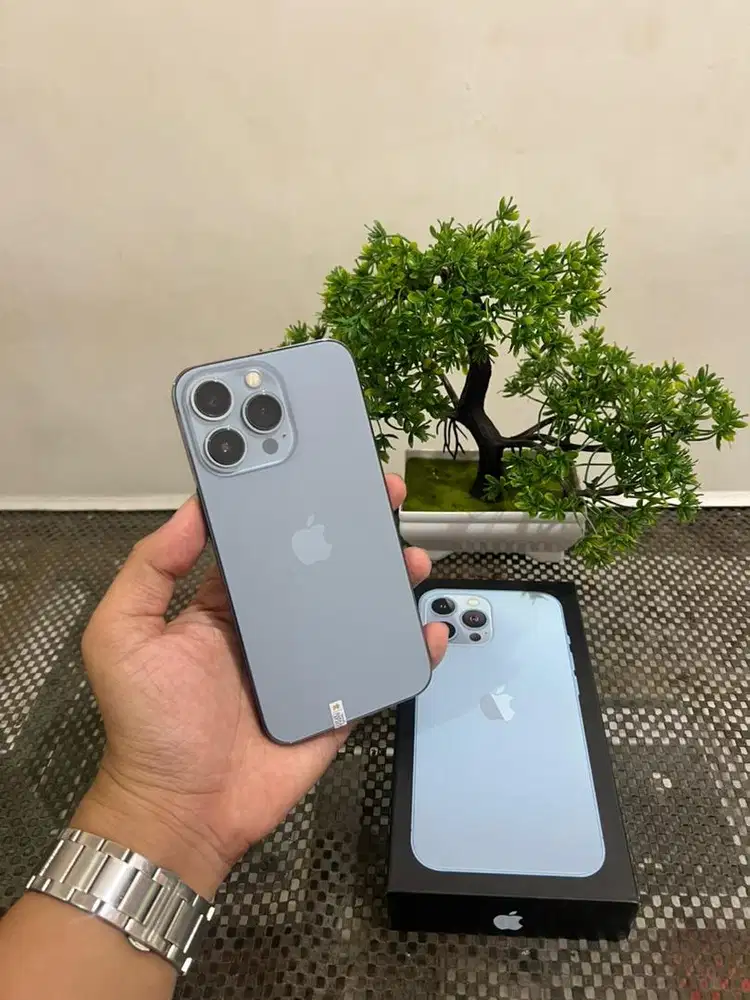 Jual iPhone 13 Pro 256